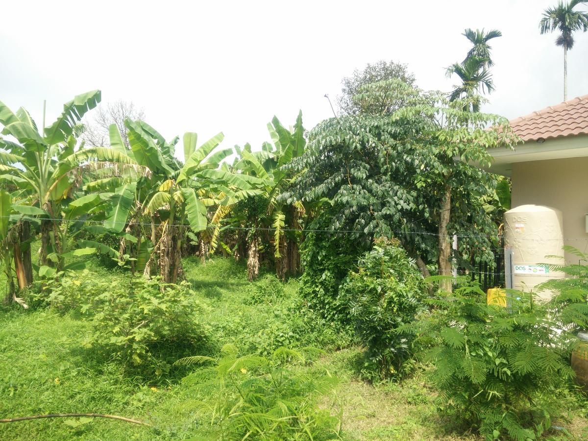 Deva Garden