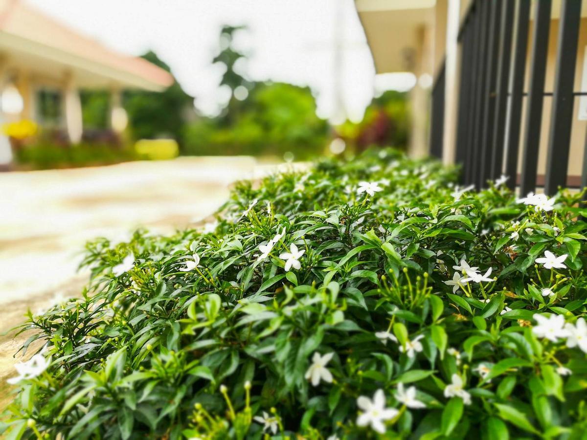 Resort Deva Garden