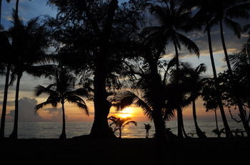 Medee Resort