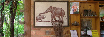 Hotel Pathu 3*