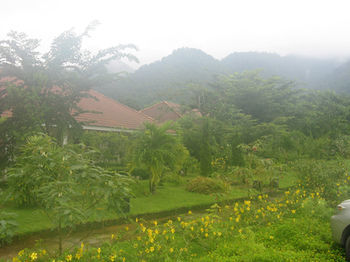 Resort Baan Chueng Kao 3*
