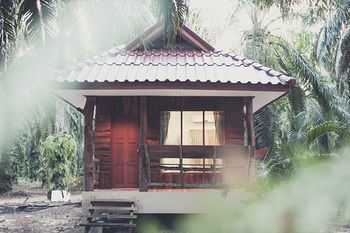 Resort Palm Garden
