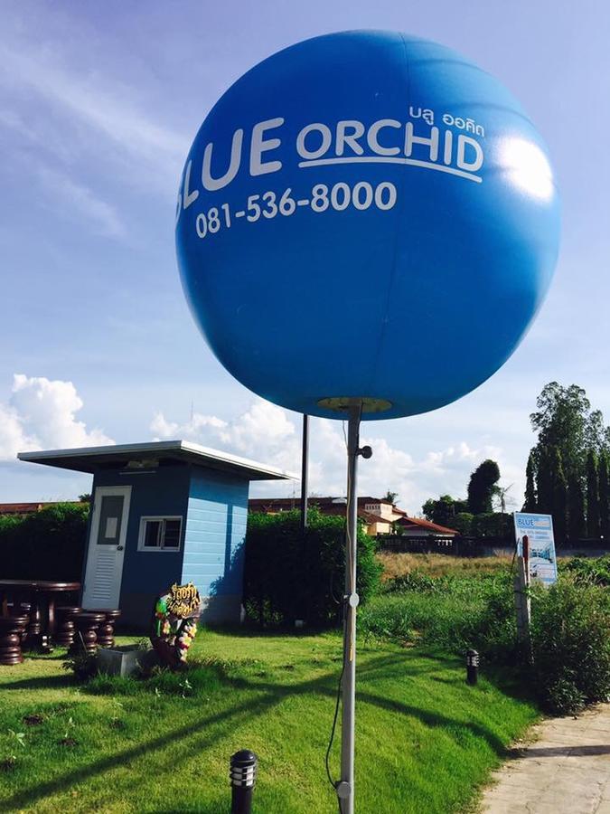 Blue Orchid Trang