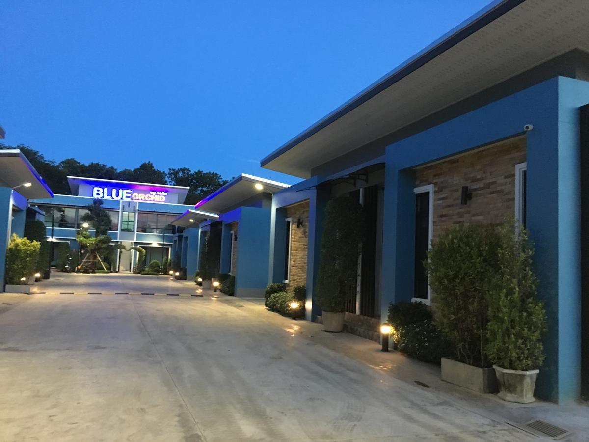 Blue Orchid Trang