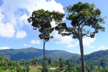 Mok Far Mont Ngo Hotel