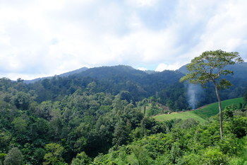 Mok Far Mont Ngo 2* Mae Taeng