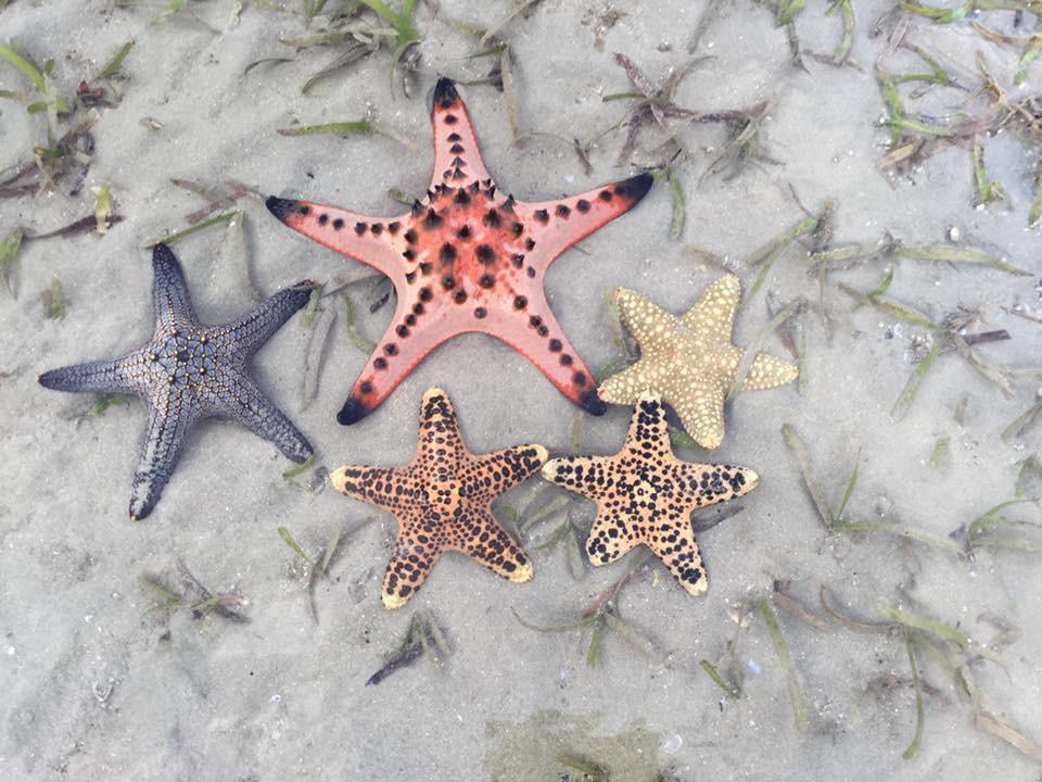 Activities Resort Ko Yao Yai