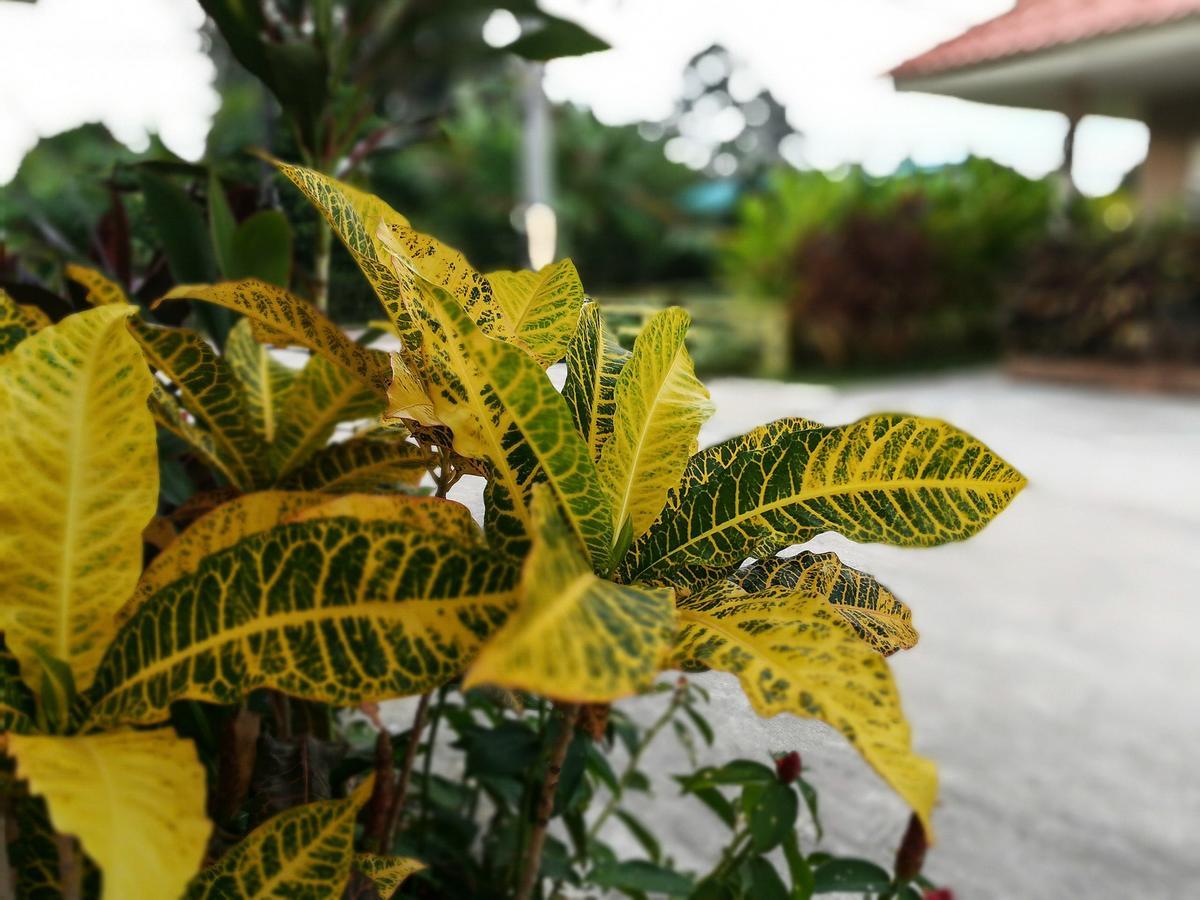 Deva Garden Resort 2*