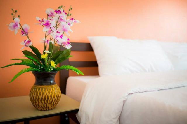 Hotel The 3*