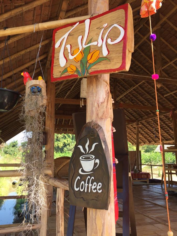 Tulip 3* Pai