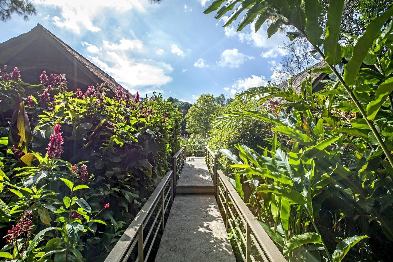 Khaokhoherbary Organicfarm&resort * Khao Kho