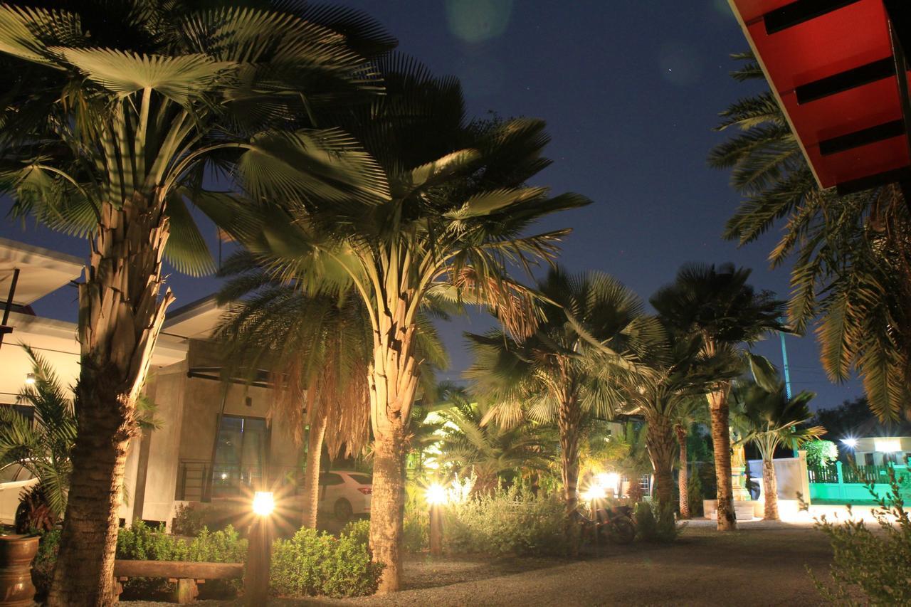 Resort Palm *