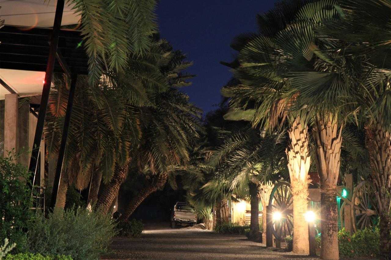 Resort Palm *