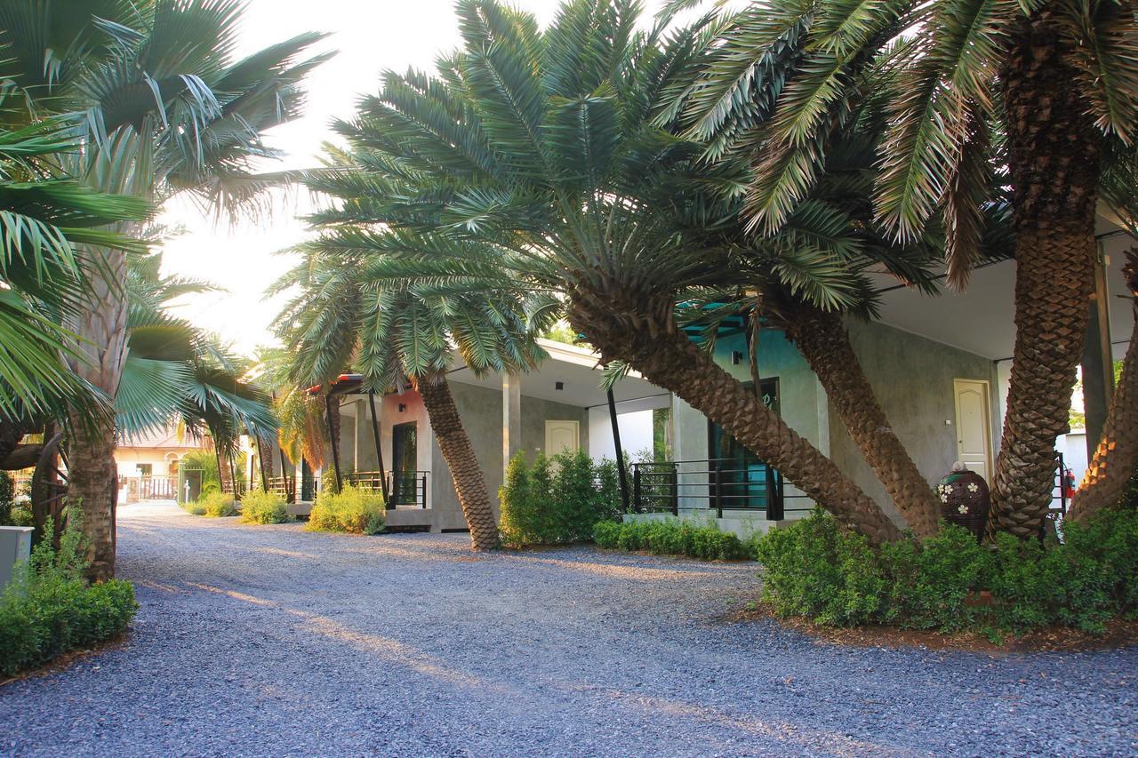 Resort Palm *