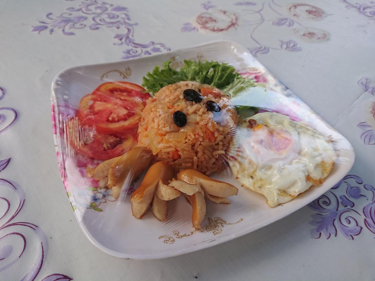 Resort Palm *