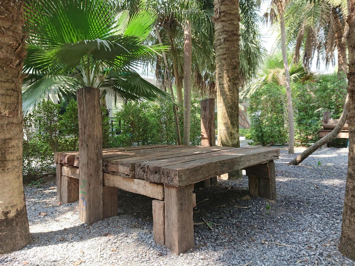Resort Palm *