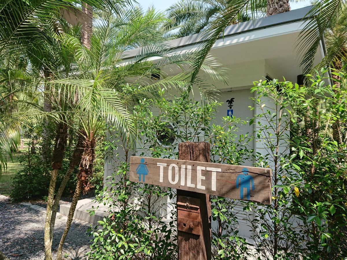 Resort Palm *