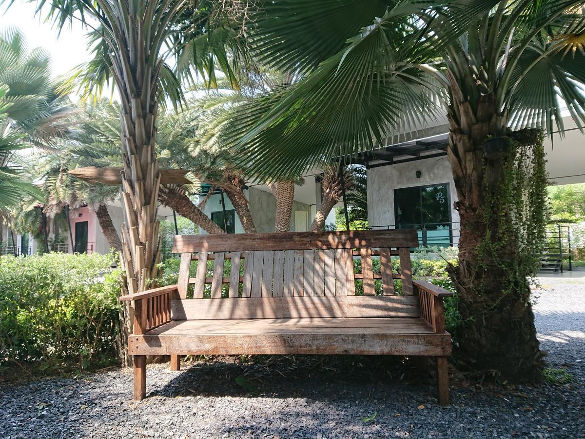 Resort Palm *