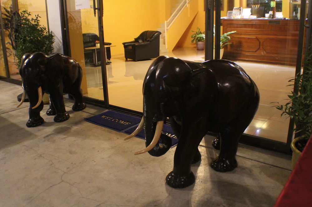 Guest house Palada Guesthouse 2*