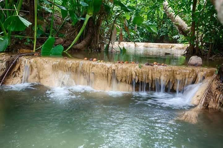 Baan Suan Tondin * Satun