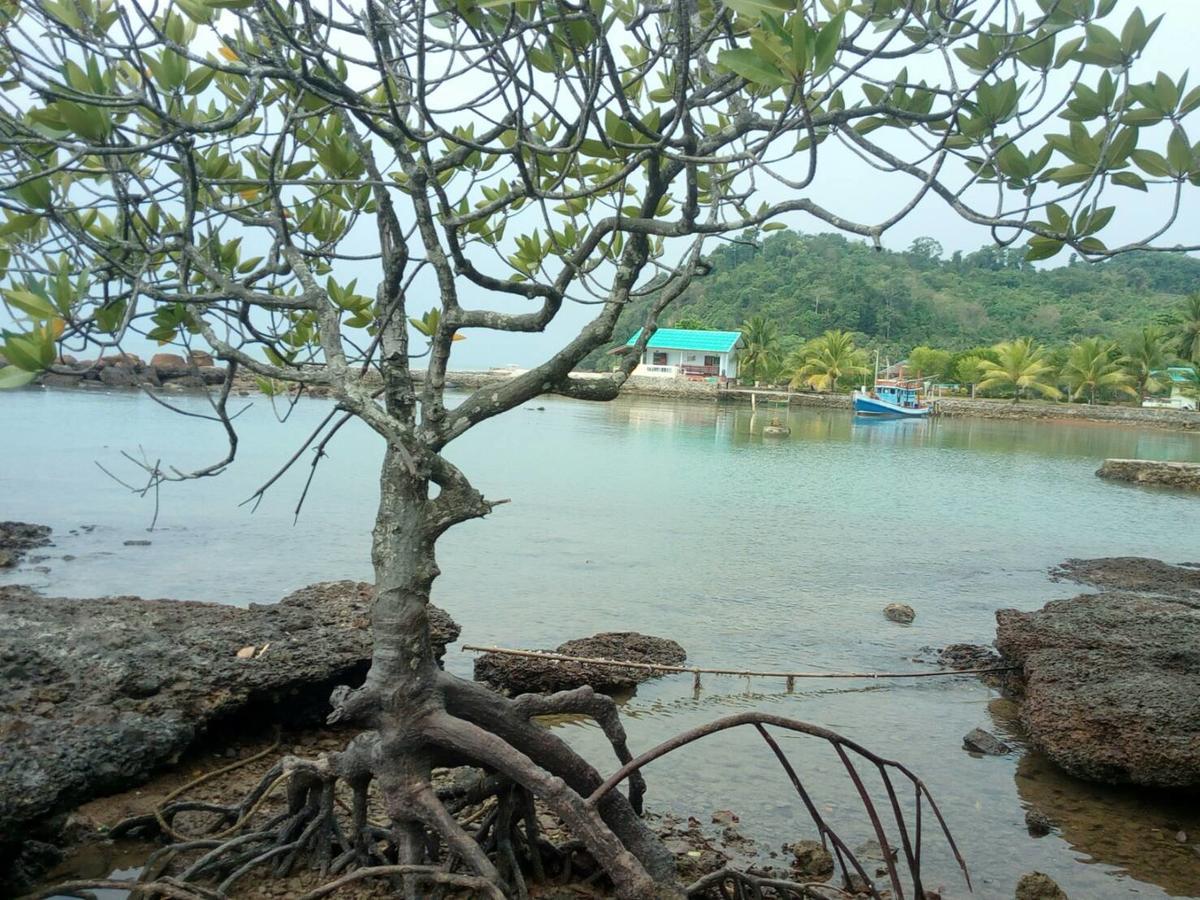 Chattong Trat