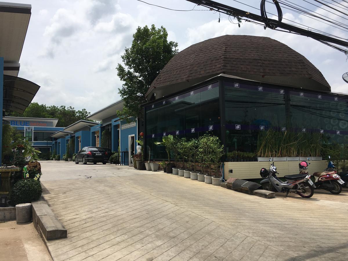 Blue Orchid Trang