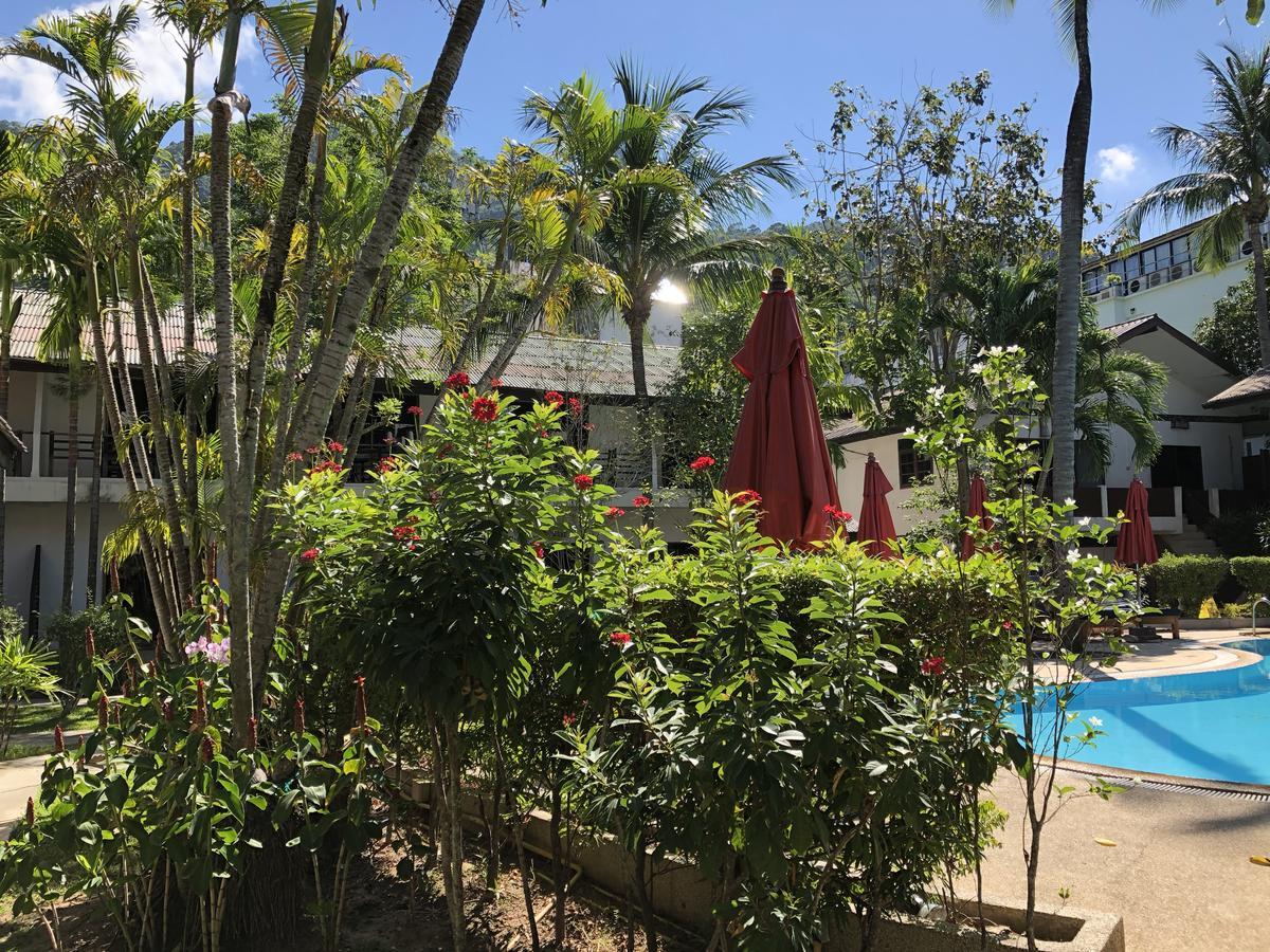 Bamboo & 3* Patong