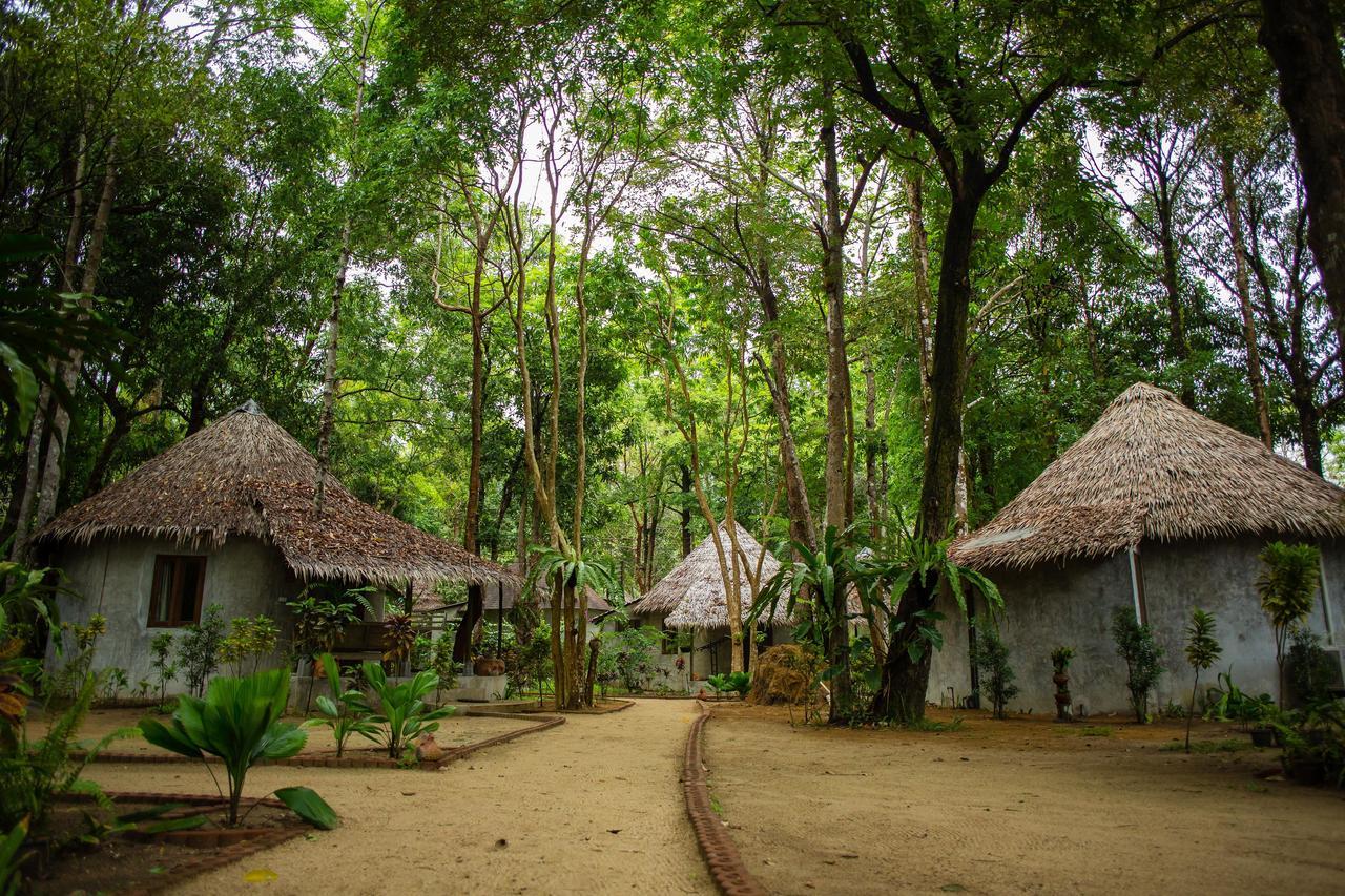 The Tropical Lodge