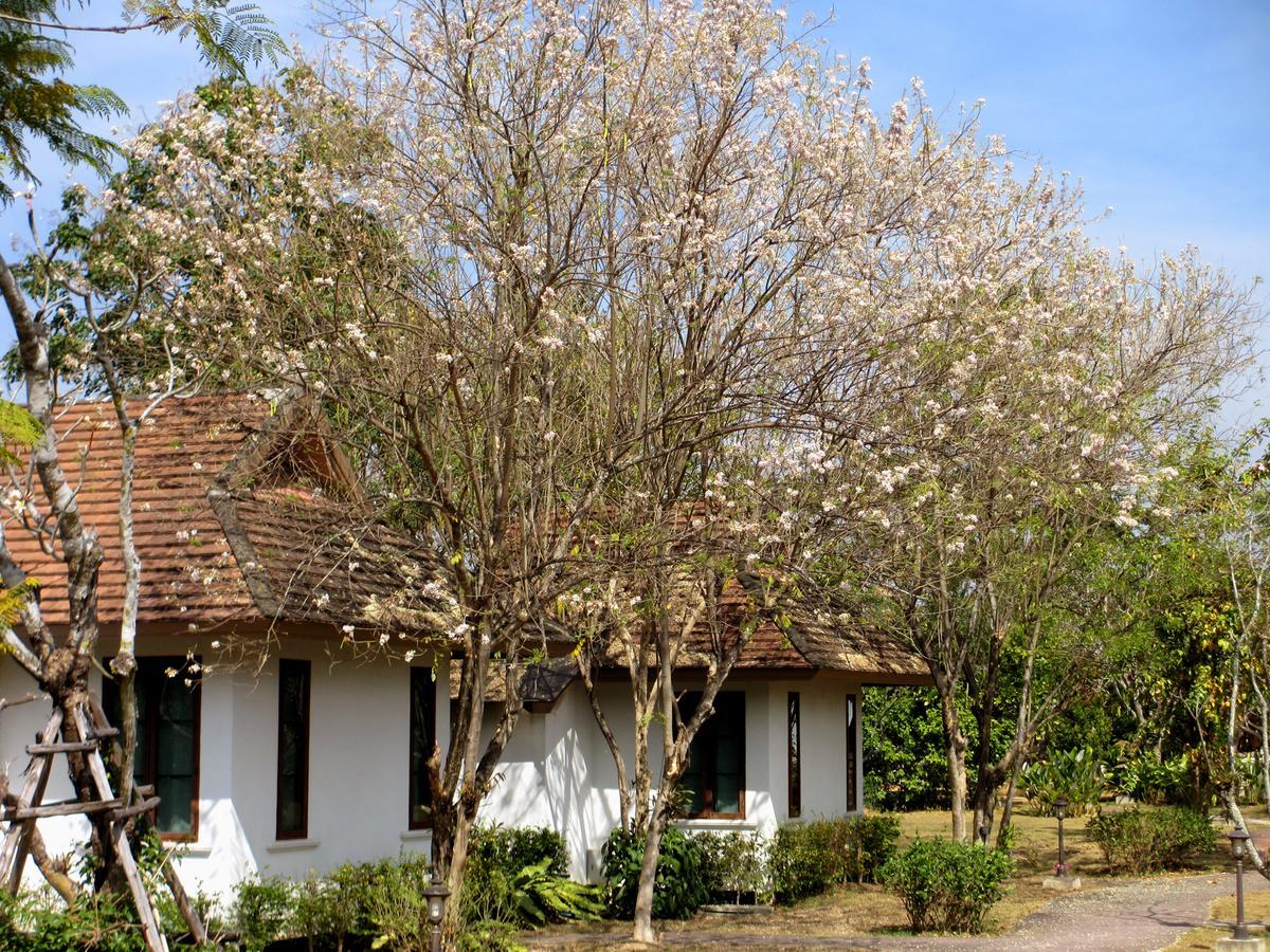 Alojamento Jasmine Hills
