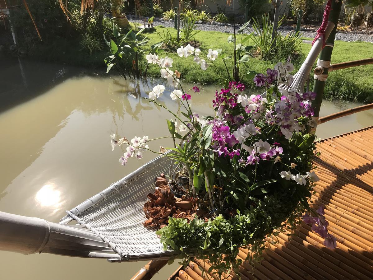 The Orchid & Relax