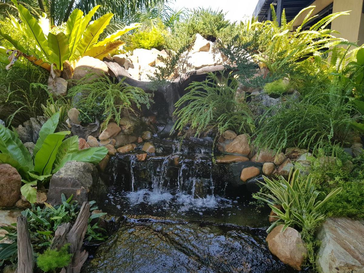 Palm Pran Pran Buri