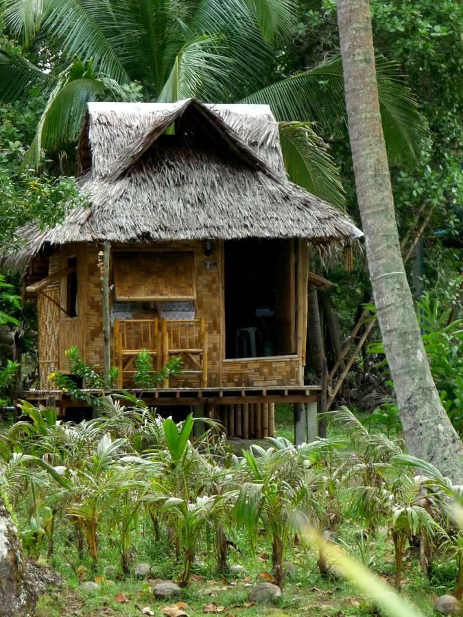 Coco Lodge *