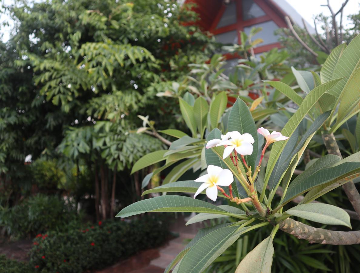 Maya Resort