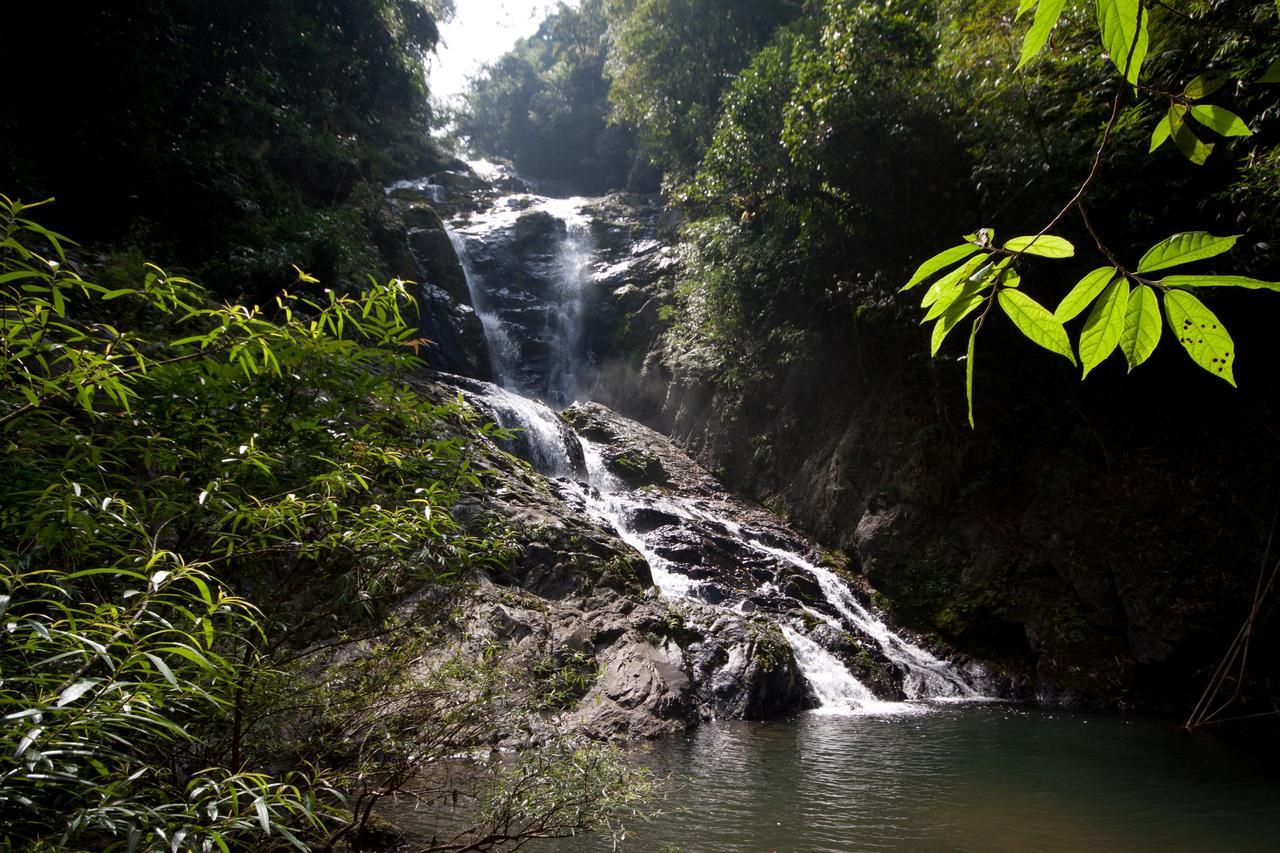 Hostel Coco Khao Sok