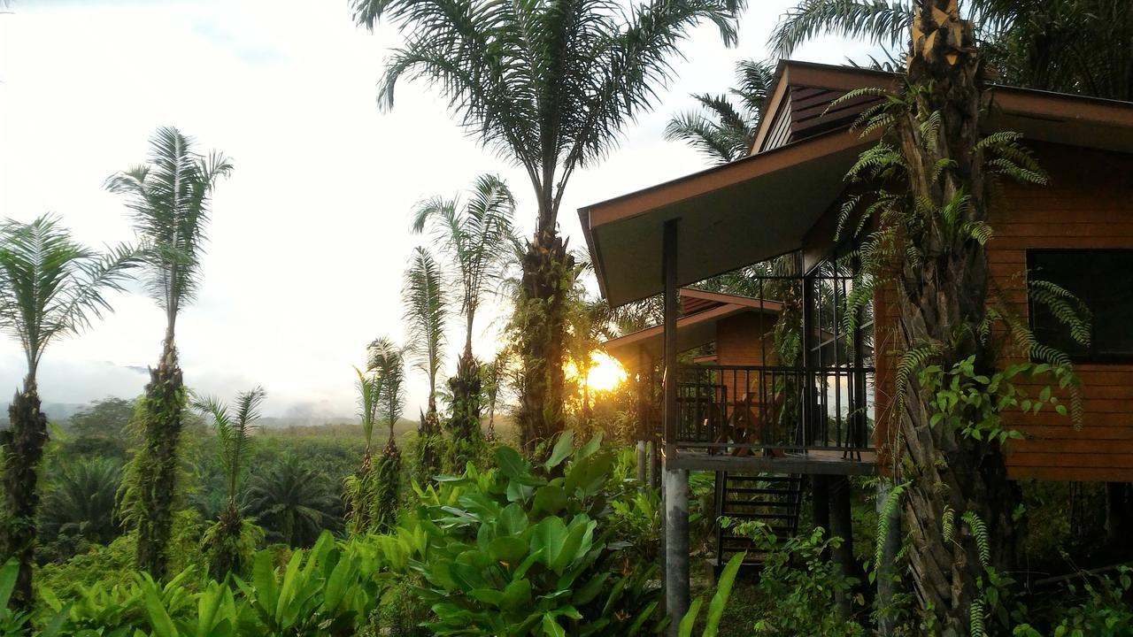 Khao Sok Horizon 2*