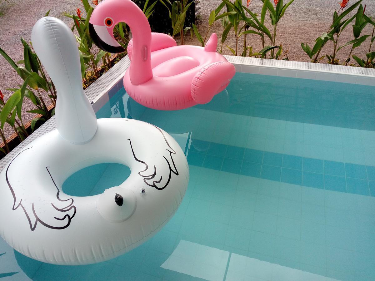 Fancy Carp Resort