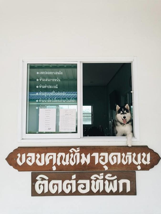 Anyamanee 2*