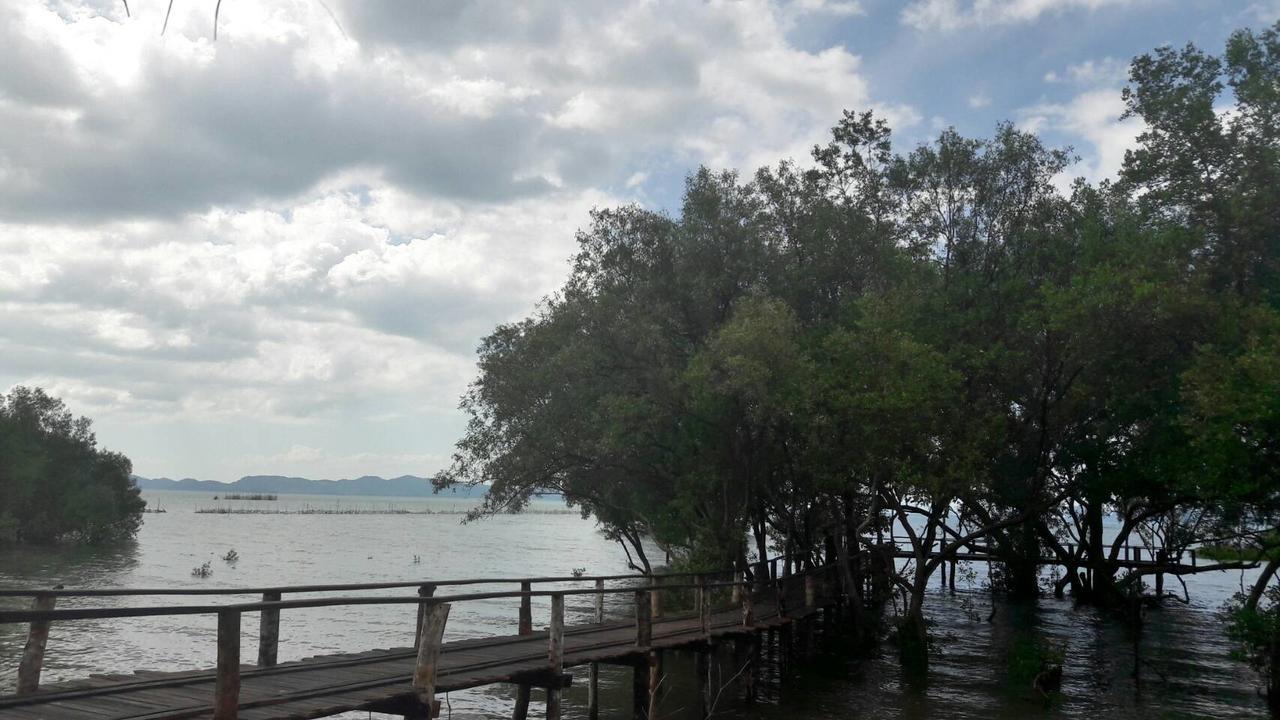 The Nature