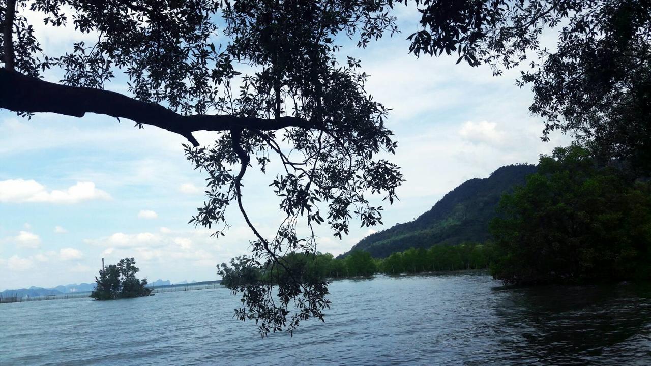 The Nature Resort 2*