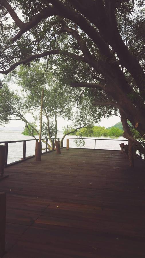 Resort The Nature