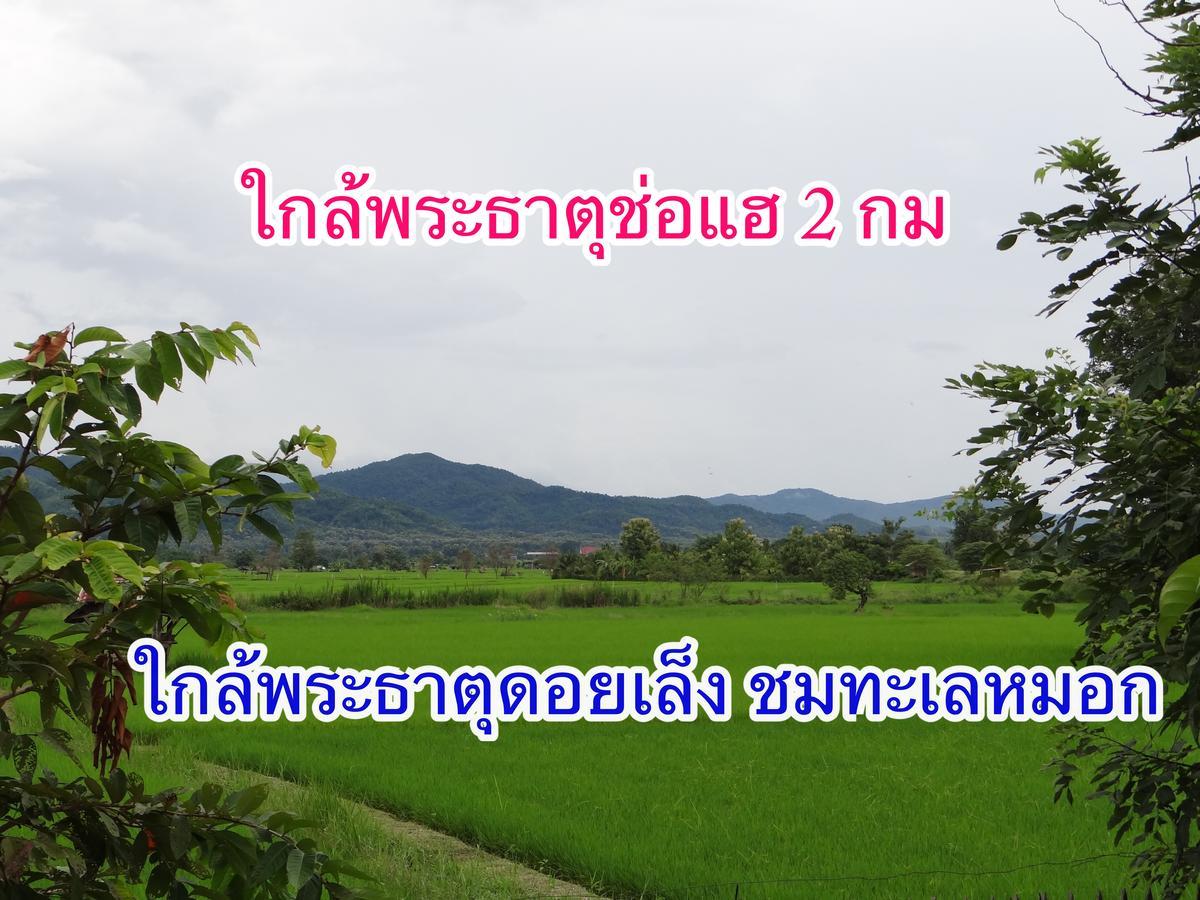 ร่มไม้สายธาร Resort