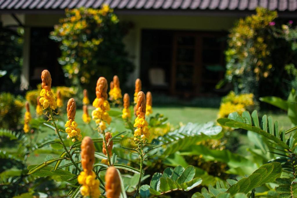 Maekok River Village Holiday park 4*