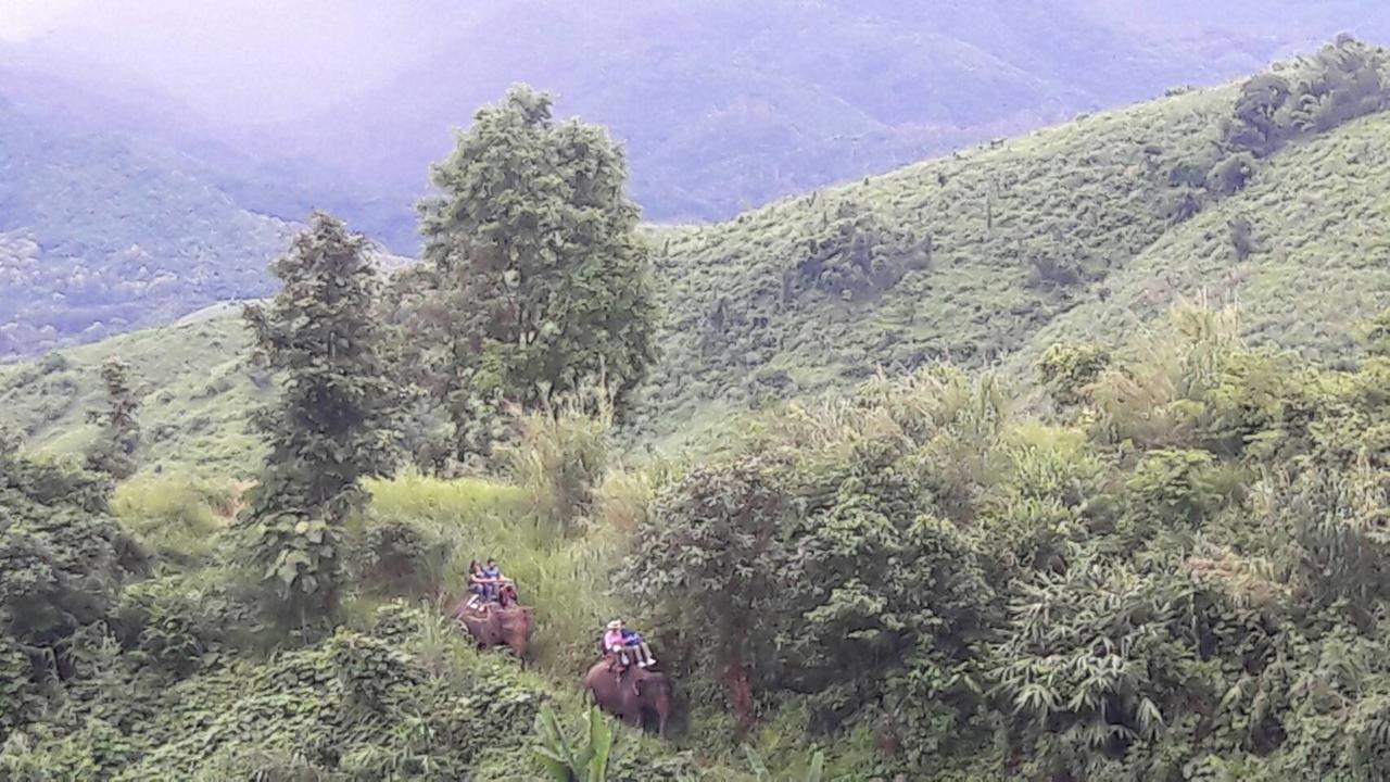 Hill Tribe Art House *