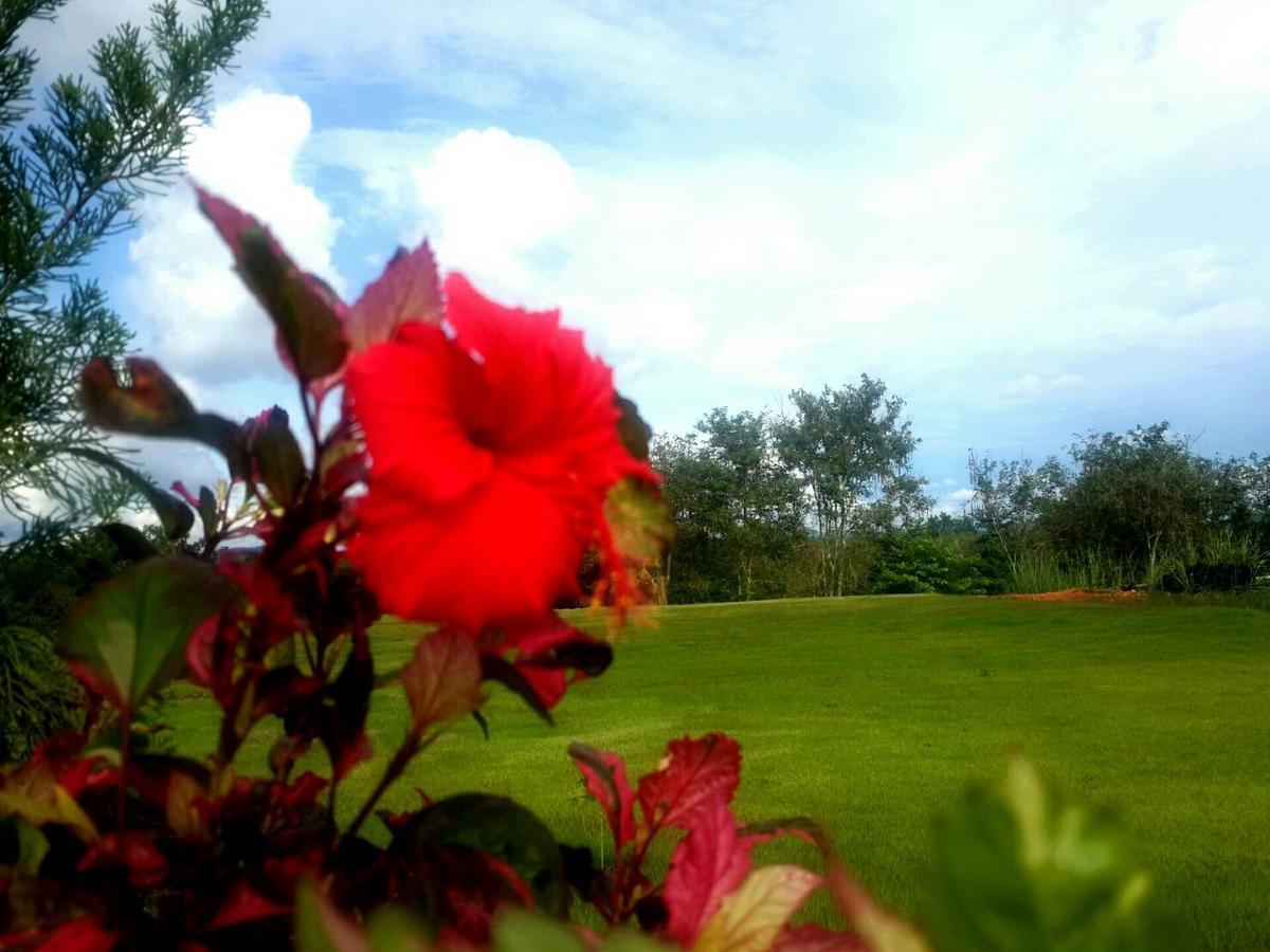 Resort Khaoyai Nature Retreat Baan Wang Mi