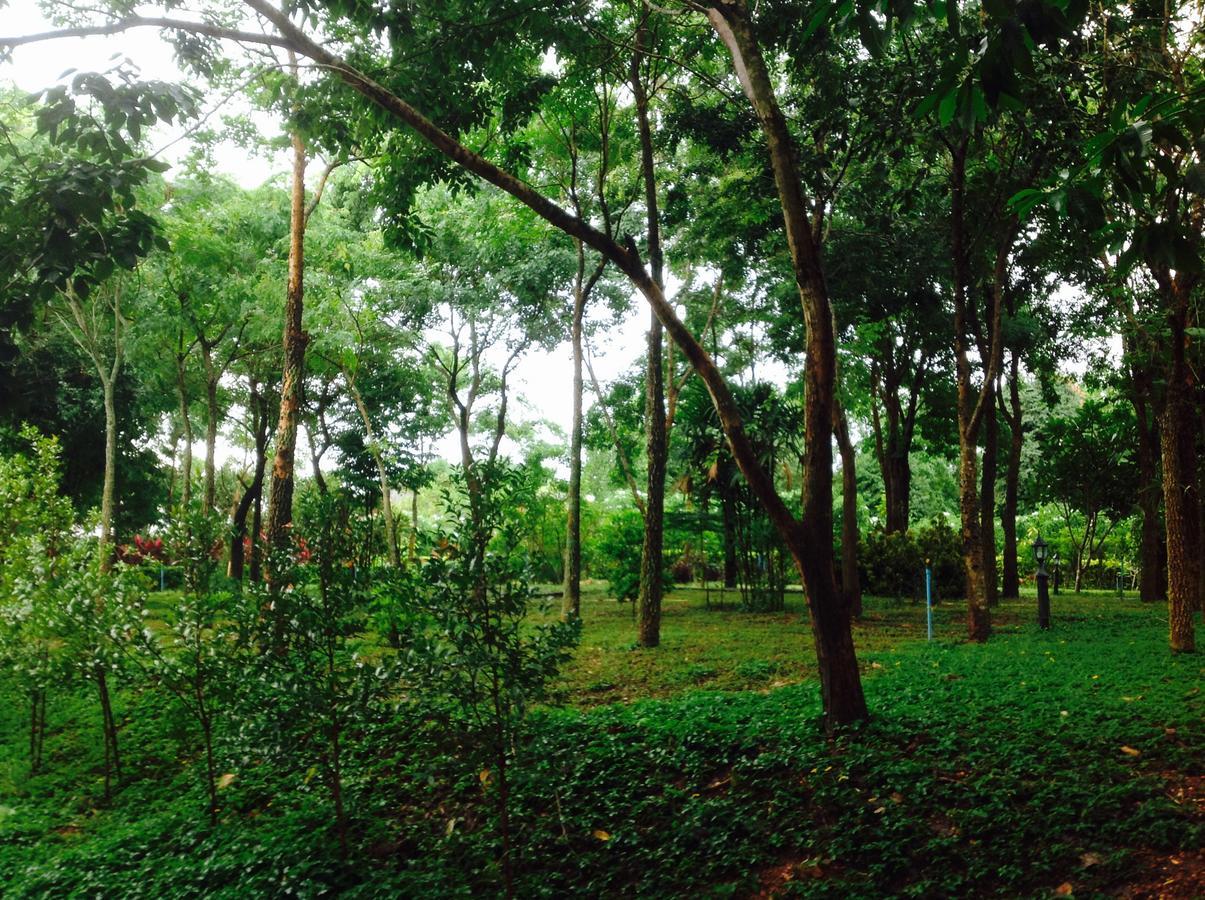 Khaoyai Nature Retreat Resort Baan Wang Mi