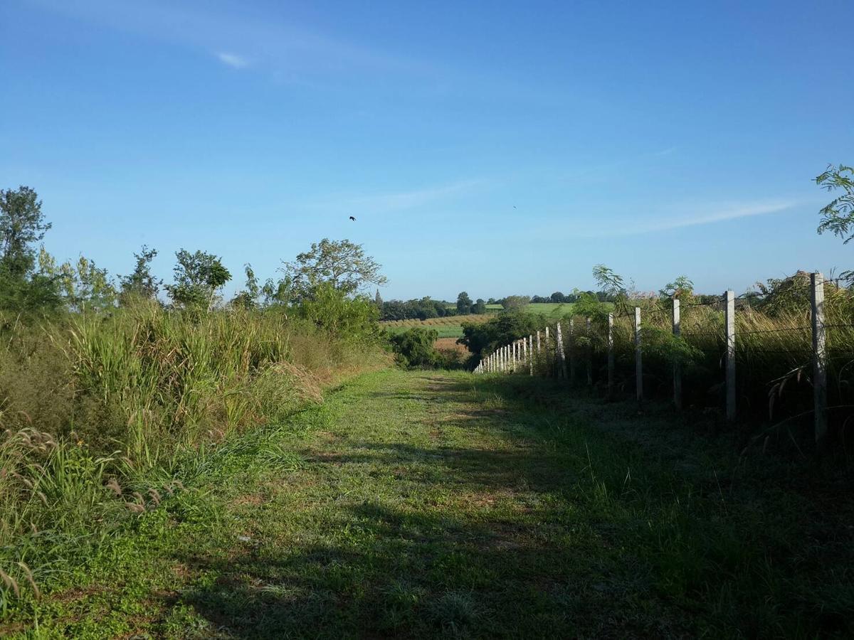 Khaoyai Nature Retreat 2*
