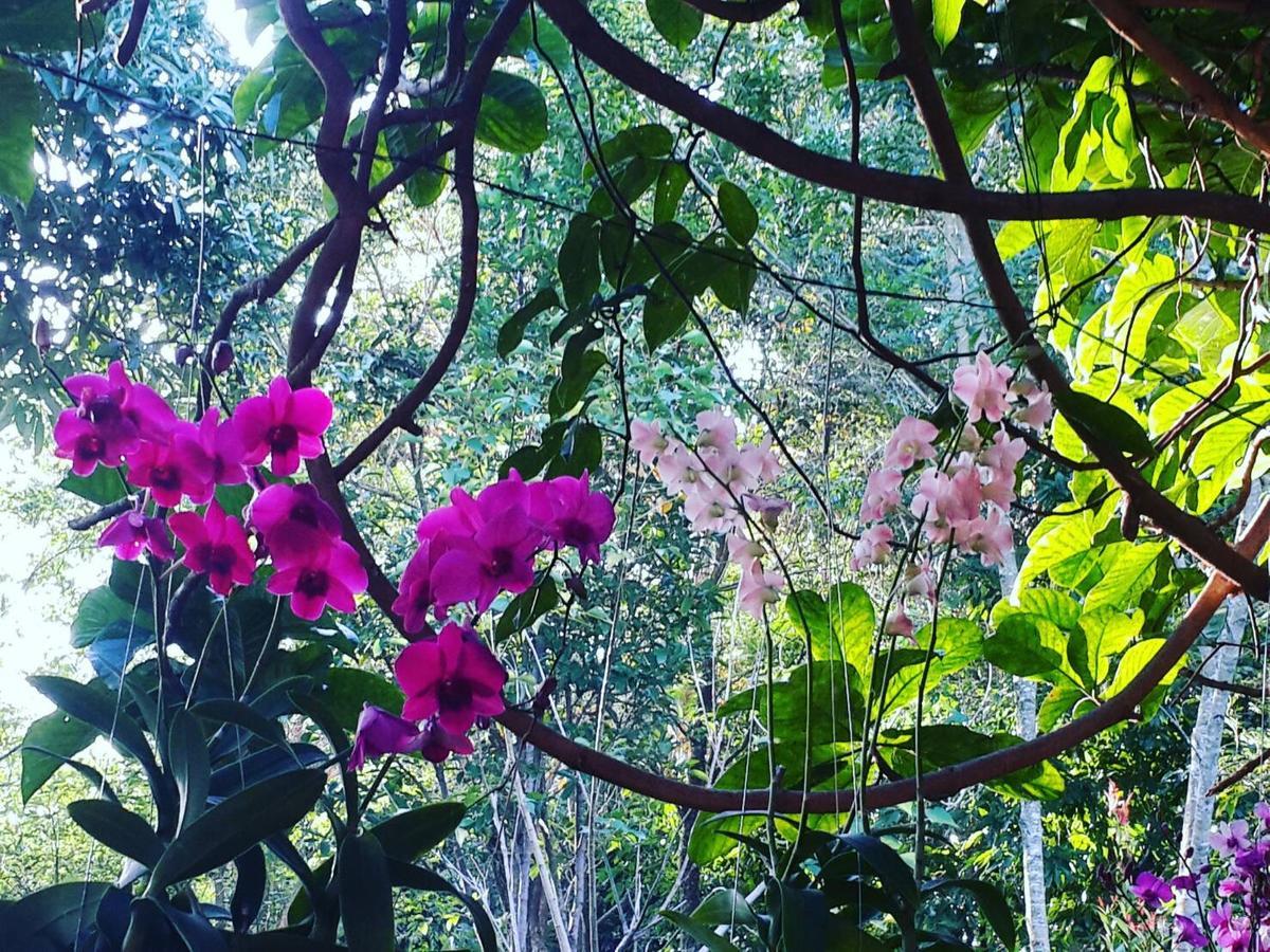 Khaoyai Nature Retreat 2*