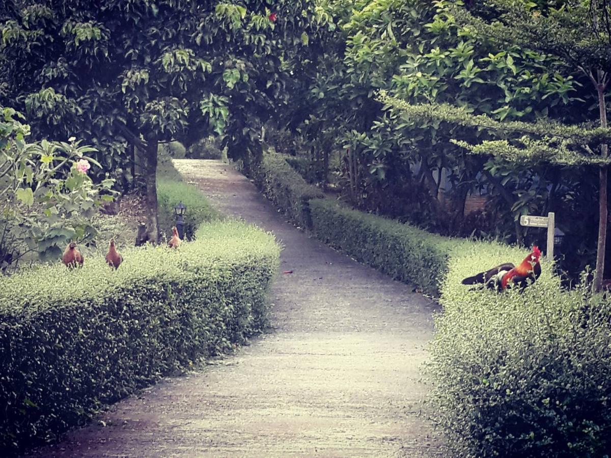 Khaoyai Nature Retreat Resort