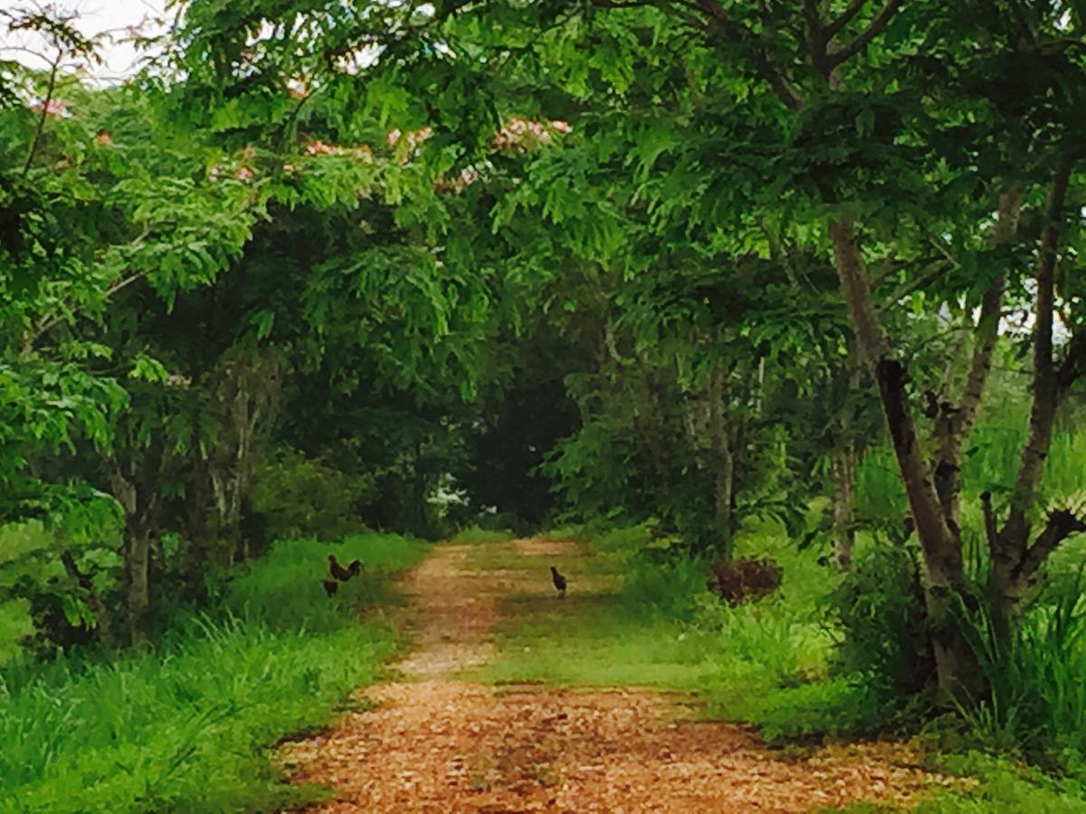 Khaoyai Nature Retreat