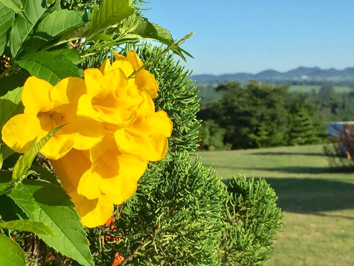 Resort Khaoyai Nature Retreat Baan Wang Mi